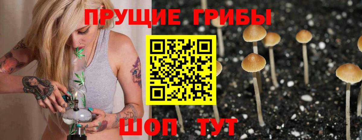 Псилоцибиновые грибы Magic Shrooms Донской